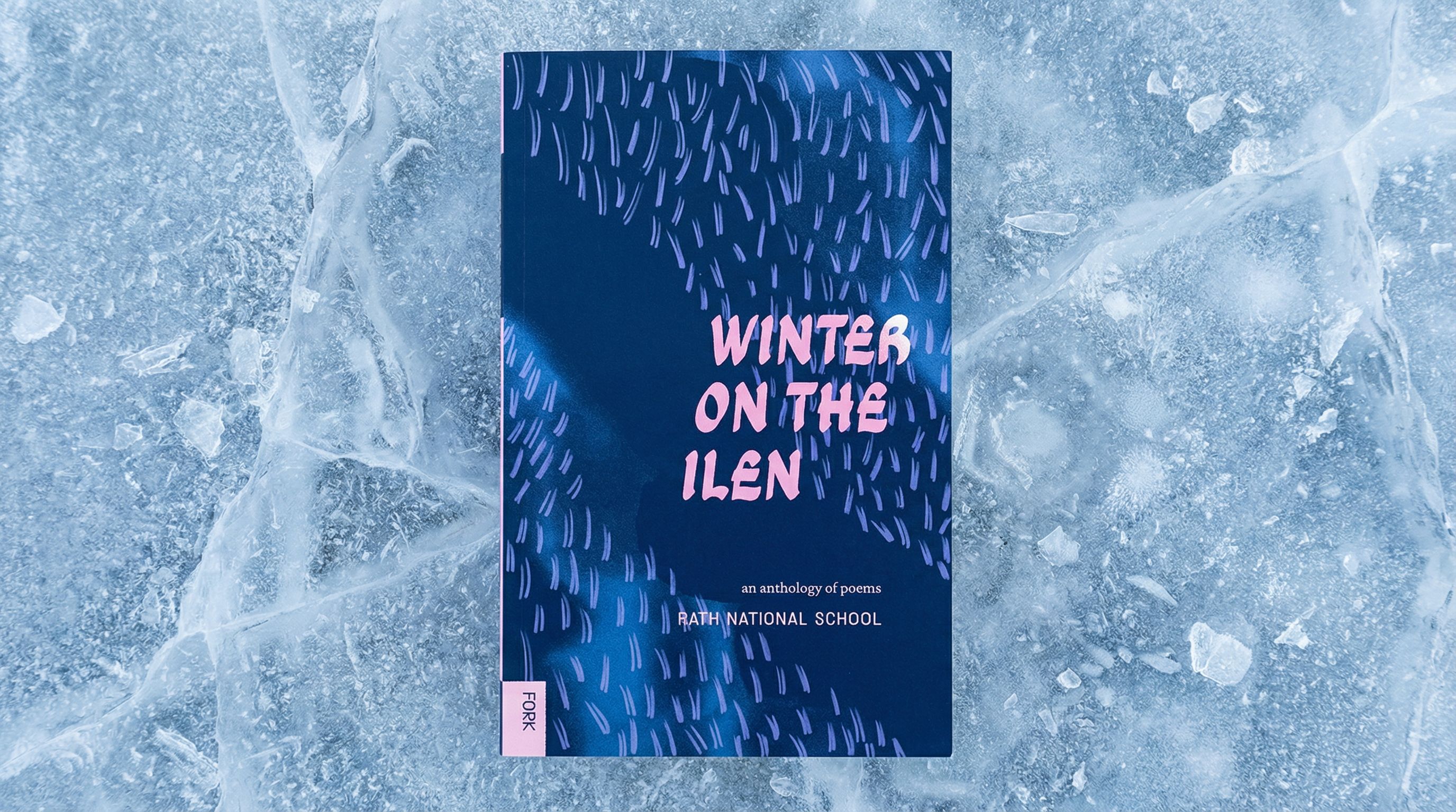 Winter on the Ilen